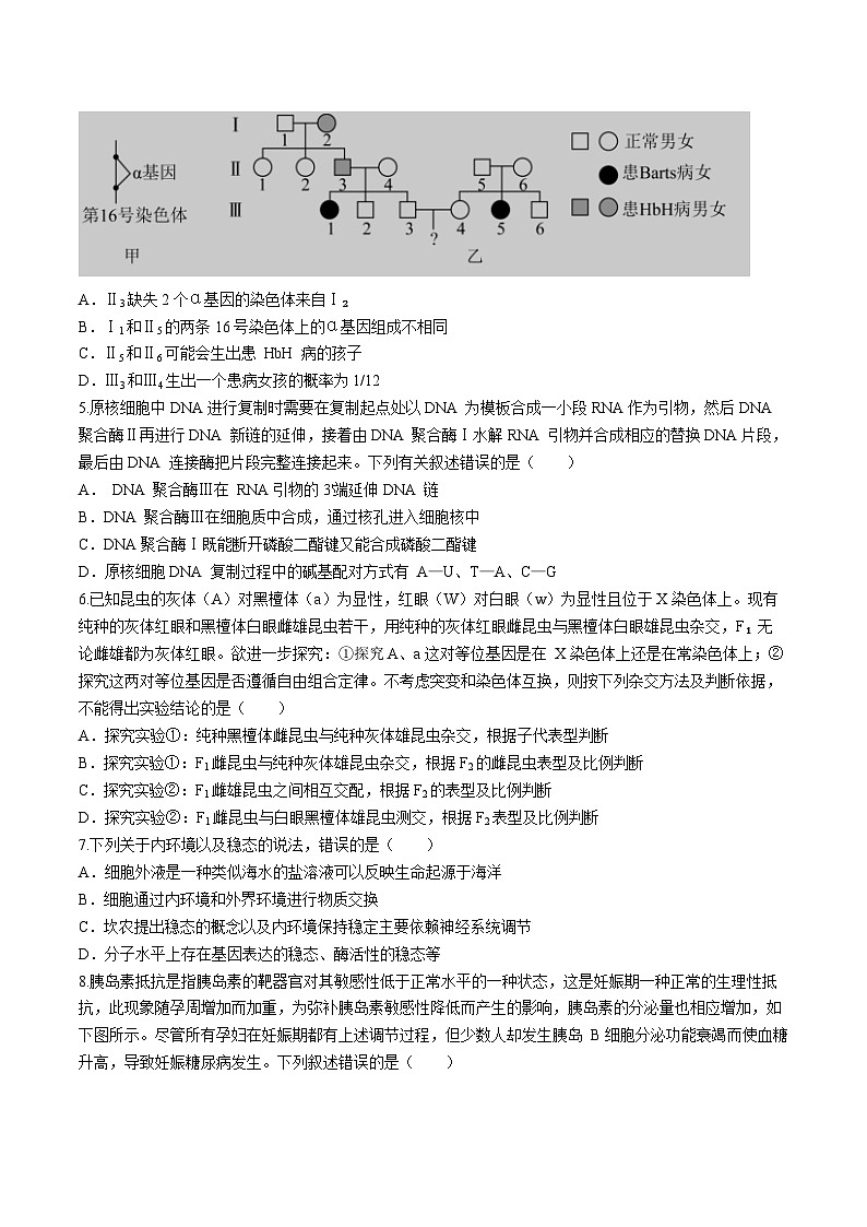 2024河北省雄安新区部分高中高三下学期三模考试生物含答案02