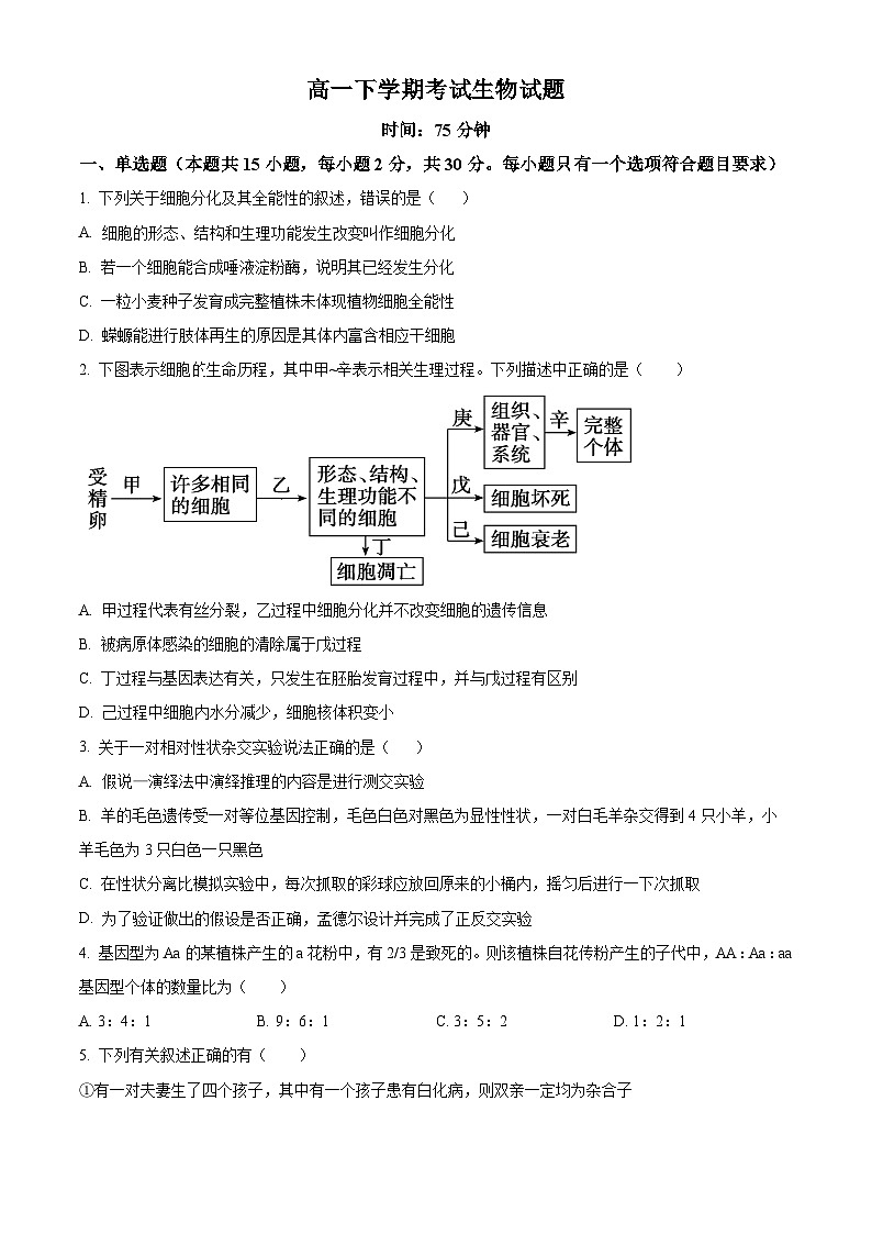 黑龙江省齐齐哈尔市建华区实验中学2023-2024学年高一下学期5月期中生物试题（原卷版+解析版）01