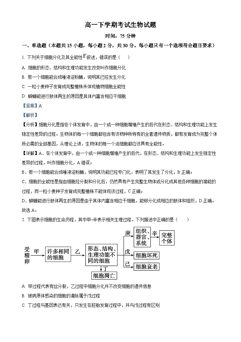 黑龙江省齐齐哈尔市建华区实验中学2023-2024学年高一下学期5月期中生物试题（原卷版+解析版）01
