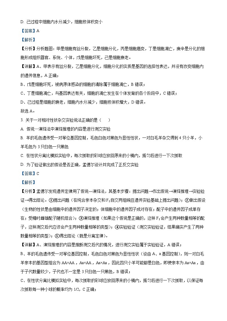 黑龙江省齐齐哈尔市建华区实验中学2023-2024学年高一下学期5月期中生物试题（原卷版+解析版）02