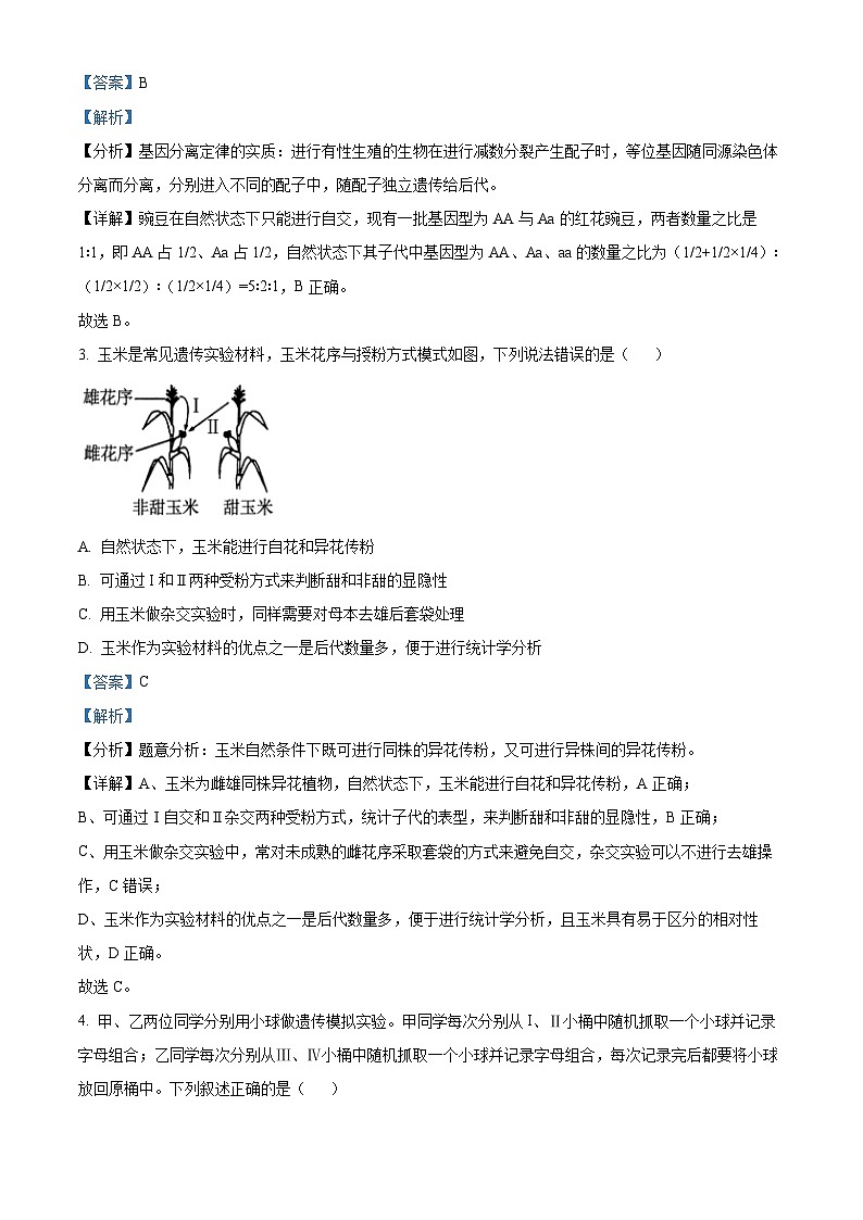 四川省眉山市彭山区第一中学2023-2024学年高一下学期5月期中生物试题（原卷版+解析版）02