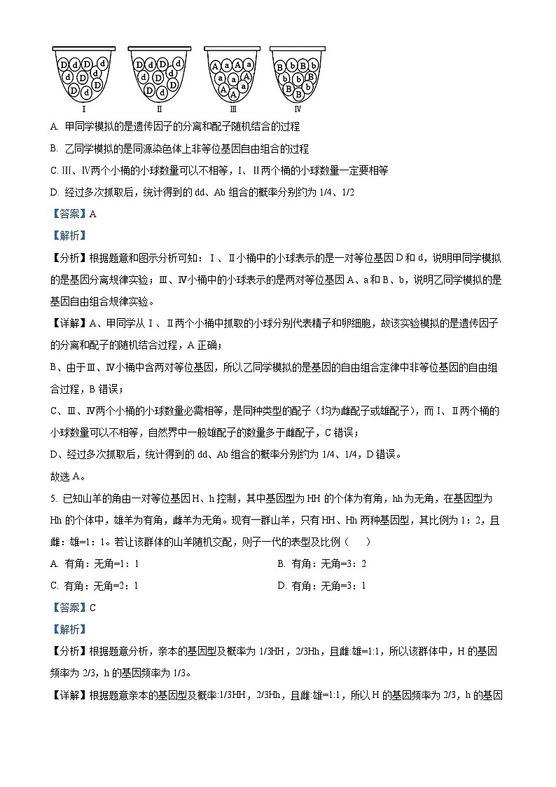 四川省眉山市彭山区第一中学2023-2024学年高一下学期5月期中生物试题（原卷版+解析版）03