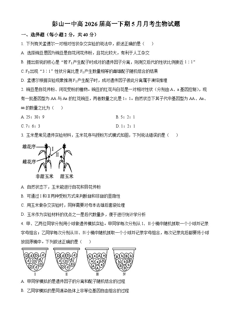 四川省眉山市彭山区第一中学2023-2024学年高一下学期5月期中生物试题（原卷版+解析版）01