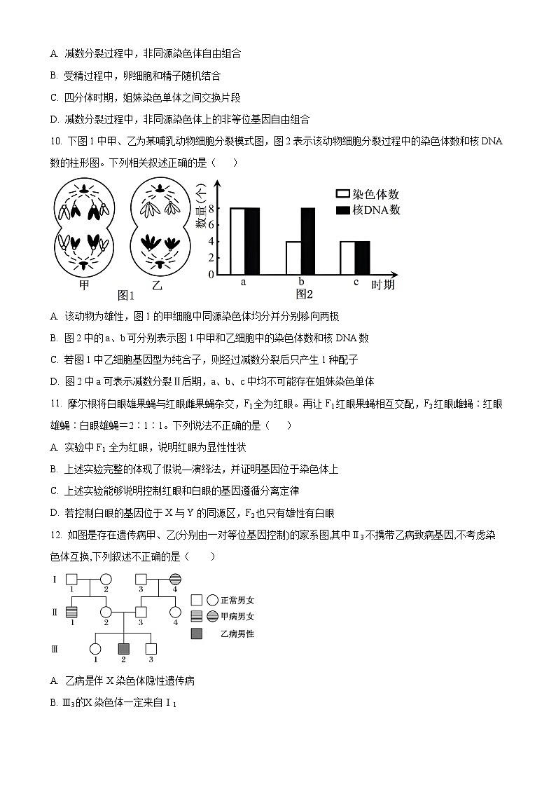 四川省眉山市彭山区第一中学2023-2024学年高一下学期5月期中生物试题（原卷版+解析版）03
