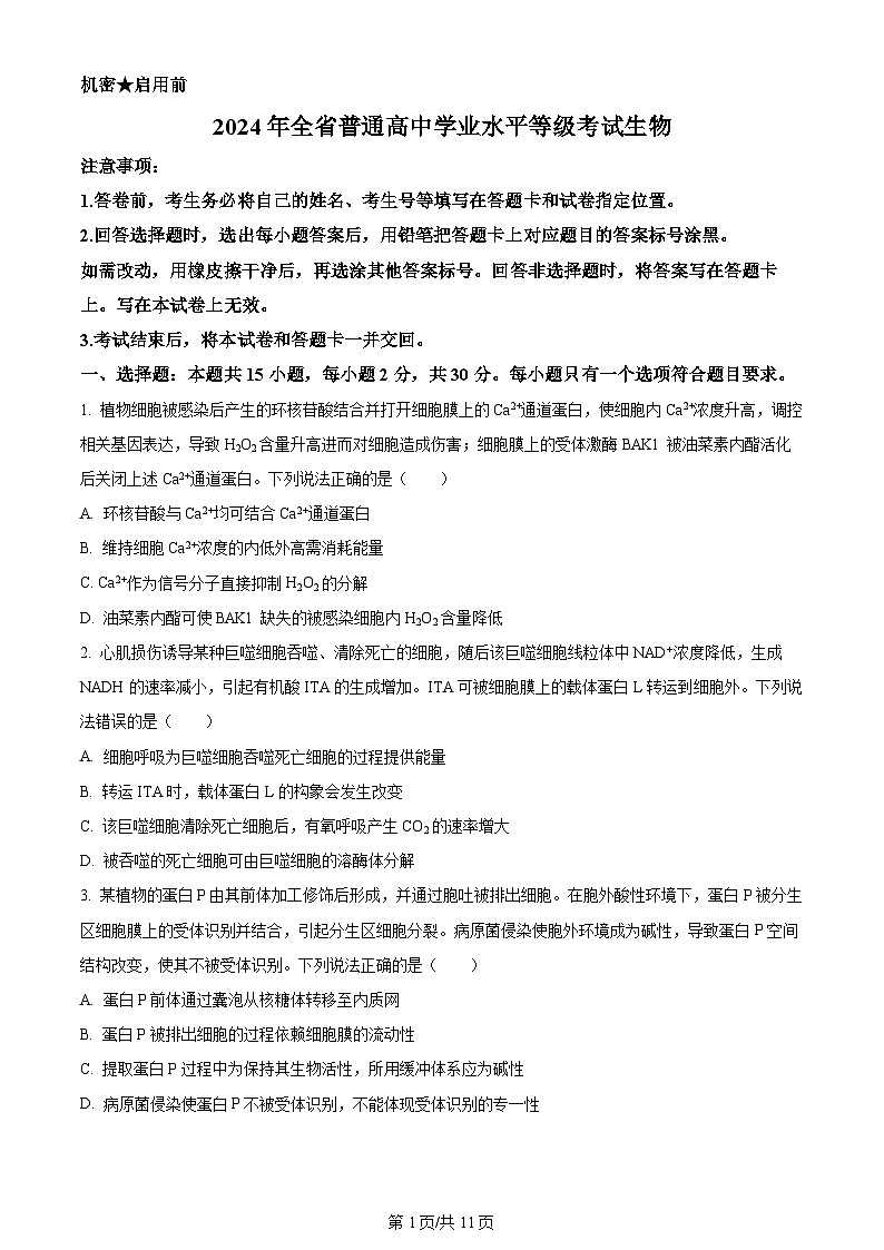 2024年高考真题山东卷生物试卷及答案解析01