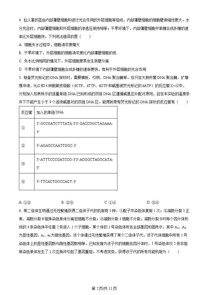 2024年高考真题山东卷生物试卷及答案解析02