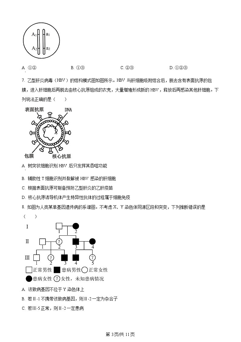 2024年高考真题山东卷生物试卷及答案解析03