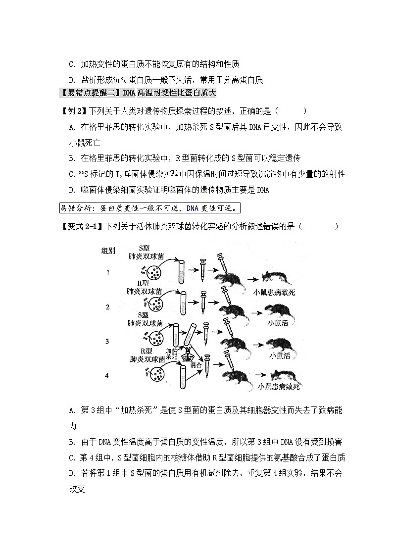 2024新高考生物易错题易错点02蛋白质和核酸的三个理解误区Word版附解析03