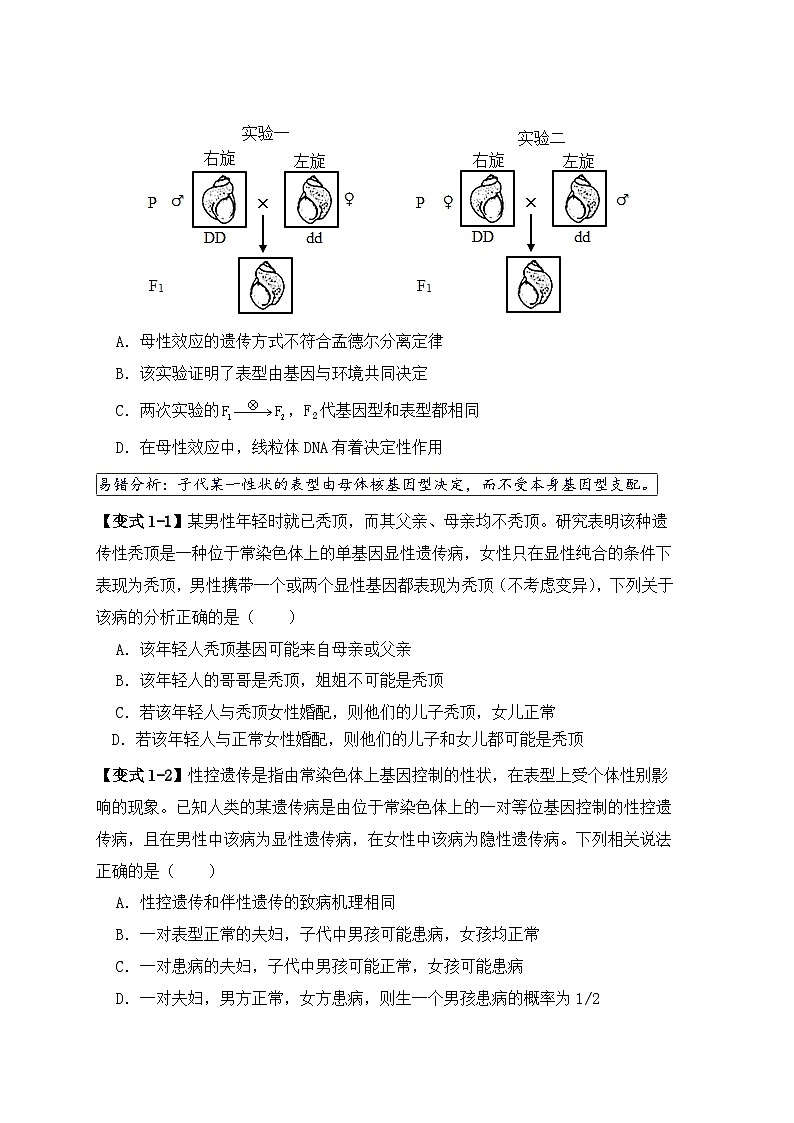 2024新高考生物易错题易错点07遗传规律常见错误Word版附解析02