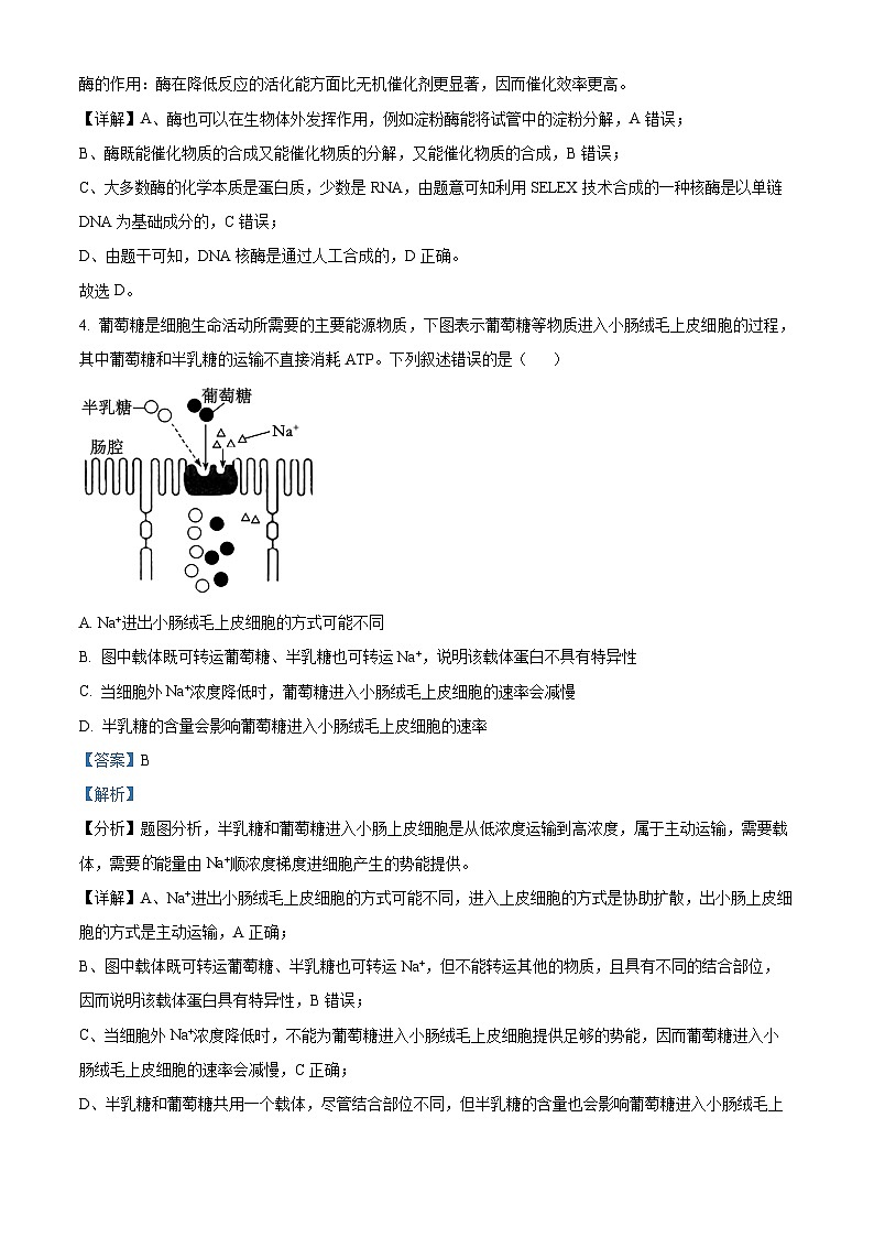 2024届江西省九江市高三下学期第三次模拟考试生物试题（解析版）第3页