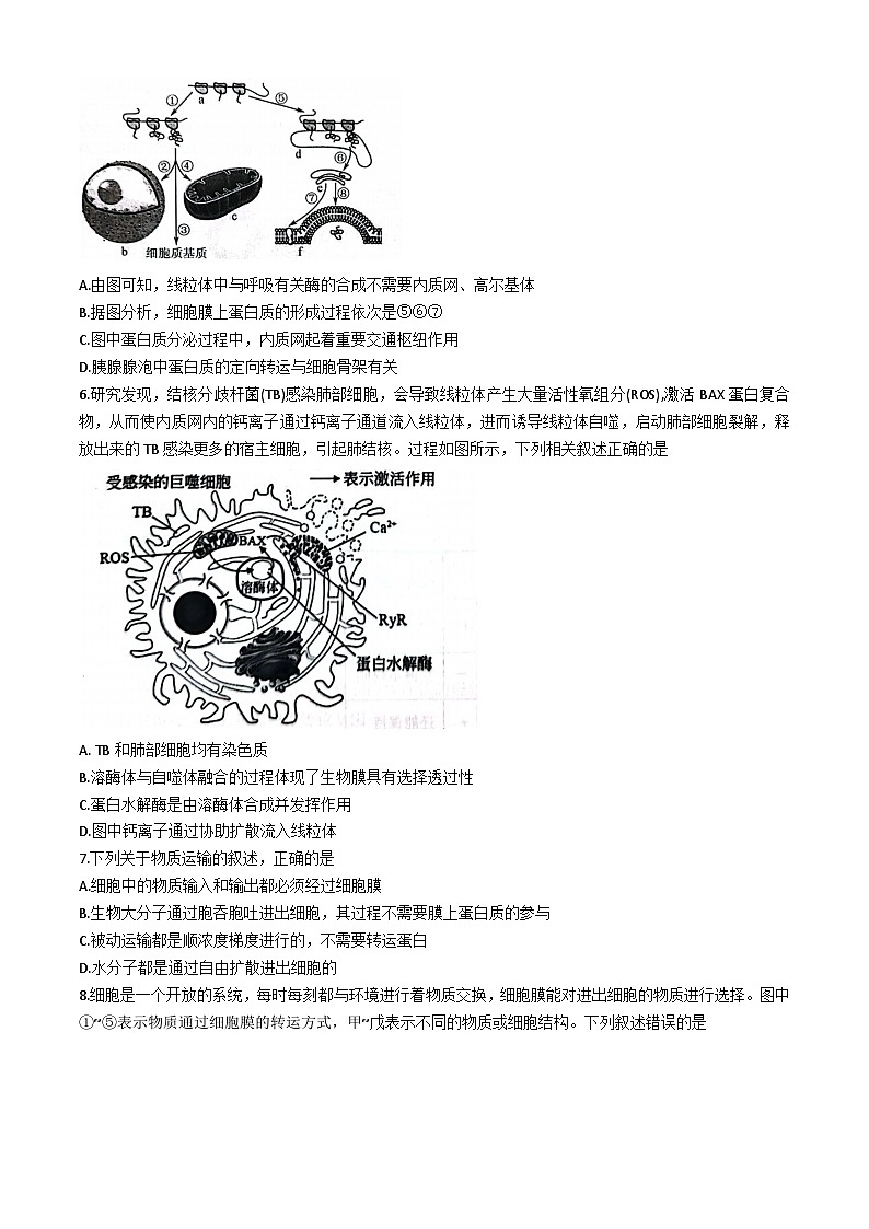 重庆市巴蜀中学2023-2024学年高一下学期5月期中考试生物试题（Word版附解析）第2页
