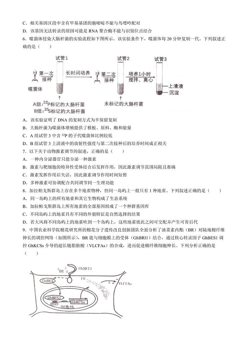 辽宁省实验中学2024届高三下学期考前模拟训练（五模）生物试题（PDF版附答案）第2页