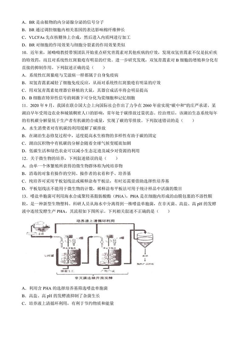辽宁省实验中学2024届高三下学期考前模拟训练（五模）生物试题（PDF版附答案）第3页
