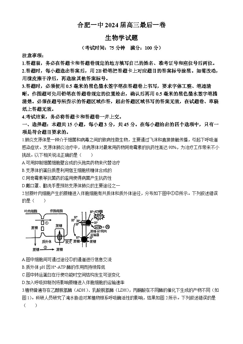 安徽省合肥市第一中学2024届高三下学期最后一卷 生物 Word版含解析第1页