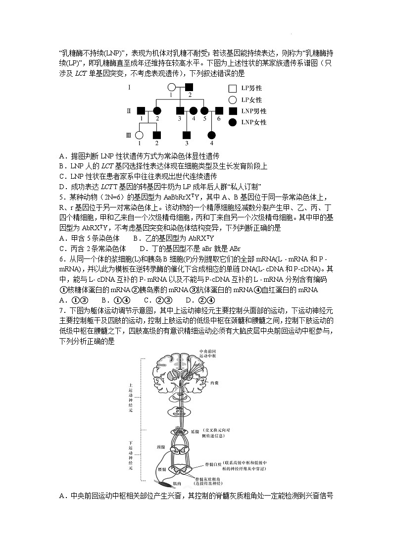 2024届湖南省雅礼中学高三下学期模拟试卷（二）生物试题第2页