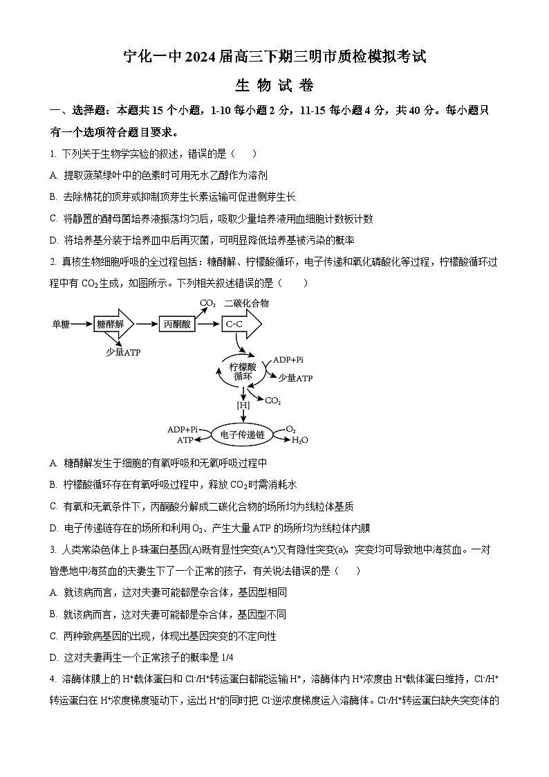2024福建省宁化市一中高三下学期第一次质检模拟试题生物含解析第1页