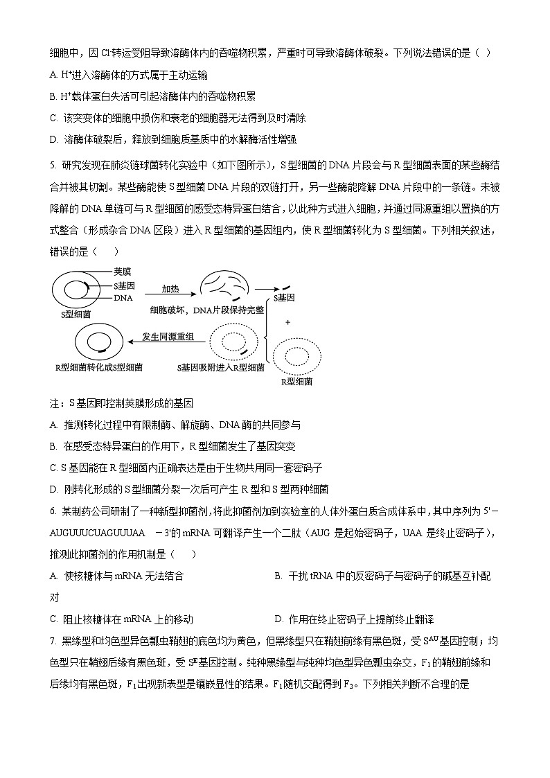 2024福建省宁化市一中高三下学期第一次质检模拟试题生物含解析第2页