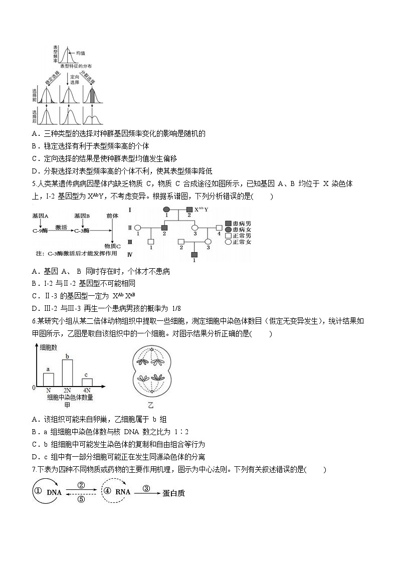 2024石家庄一中高二下学期5月月考试题生物含解析第2页