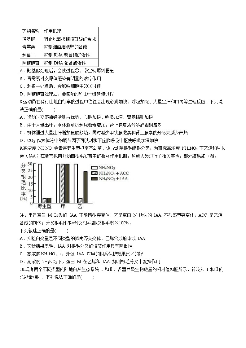 2024石家庄一中高二下学期5月月考试题生物含解析第3页