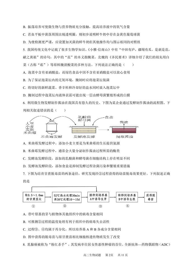 2024成都成华区某校高二下学期期中考试生物PDF版含答案（可编辑）02