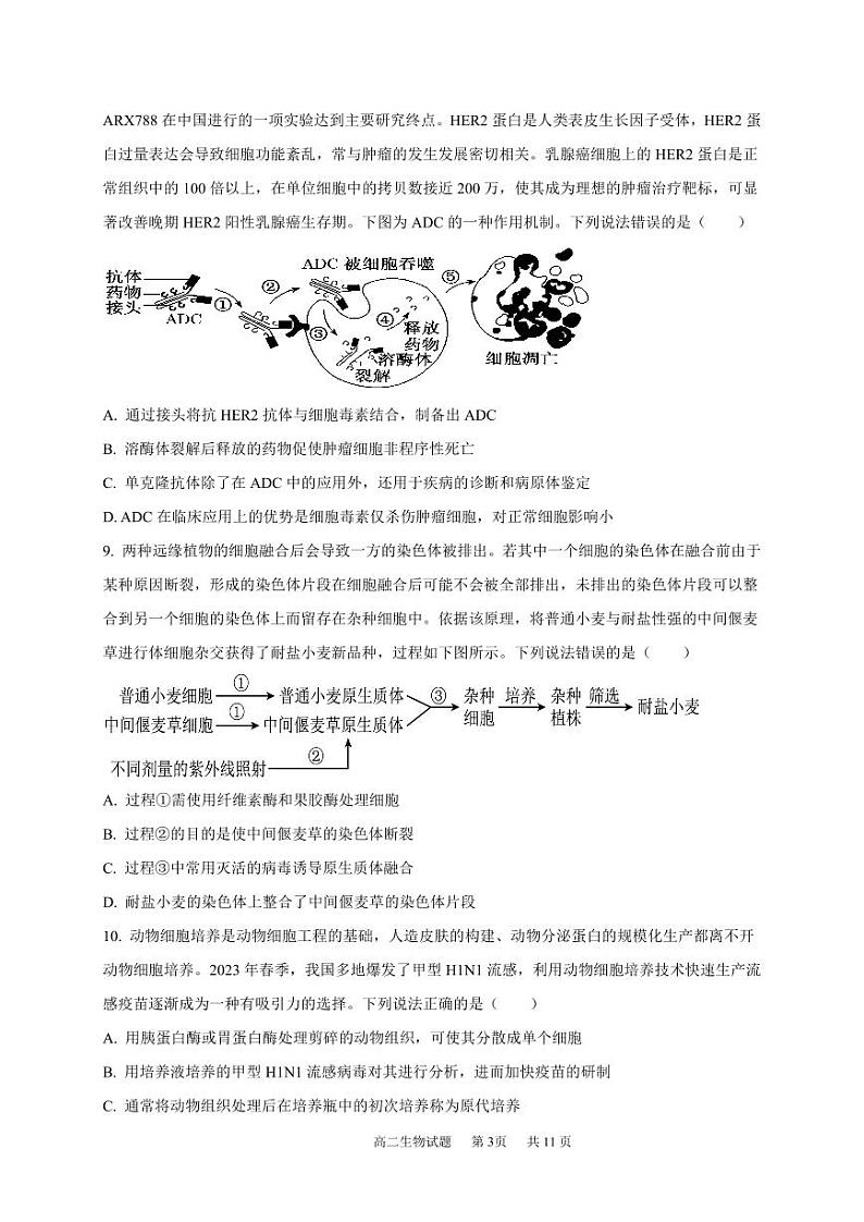 2024成都成华区某校高二下学期期中考试生物PDF版含答案（可编辑）03