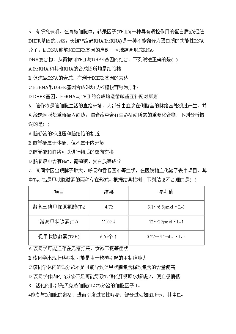 广东省2024届高三下学期2月大联考（一模）生物试卷(含答案)02
