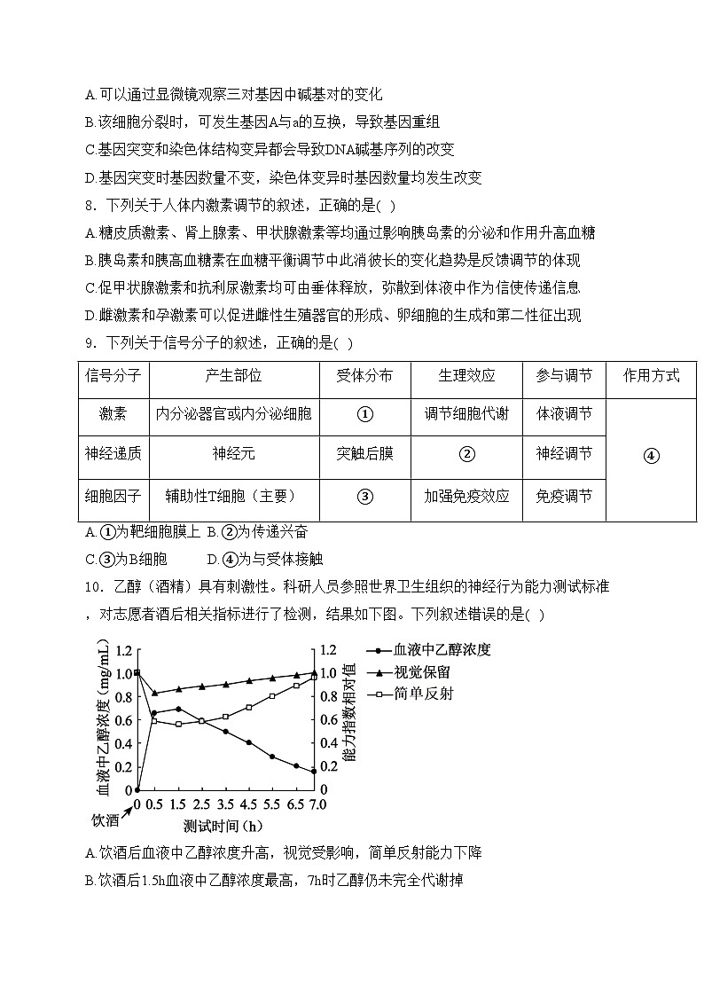 广东省深圳实验、湛江一中、珠海一中三校2024届高三上学期12月联考生物试卷(含答案)03