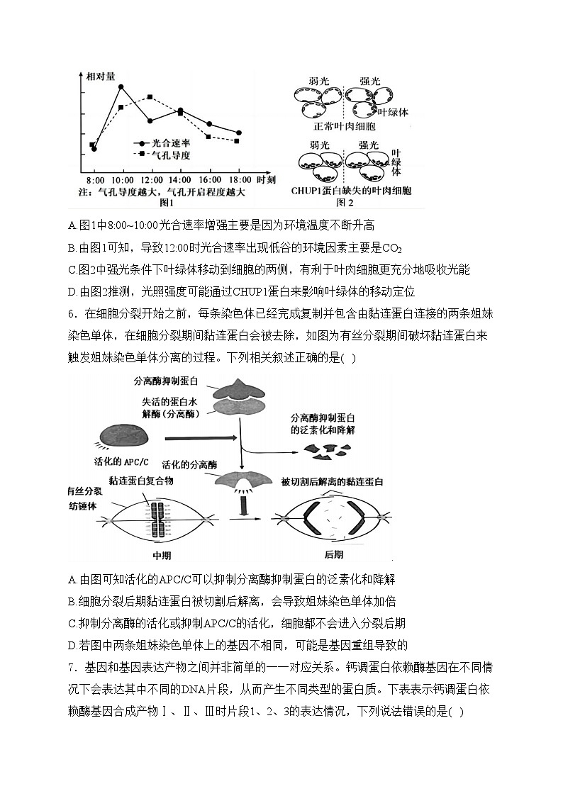 湖北省宜荆荆随恩2024届高三上学期1月联考生物试卷(含答案)03