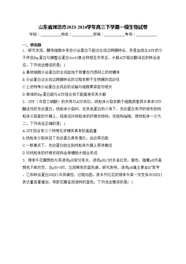 山东省潍坊市2023-2024学年高三下学期一模生物试卷(含答案)第1页