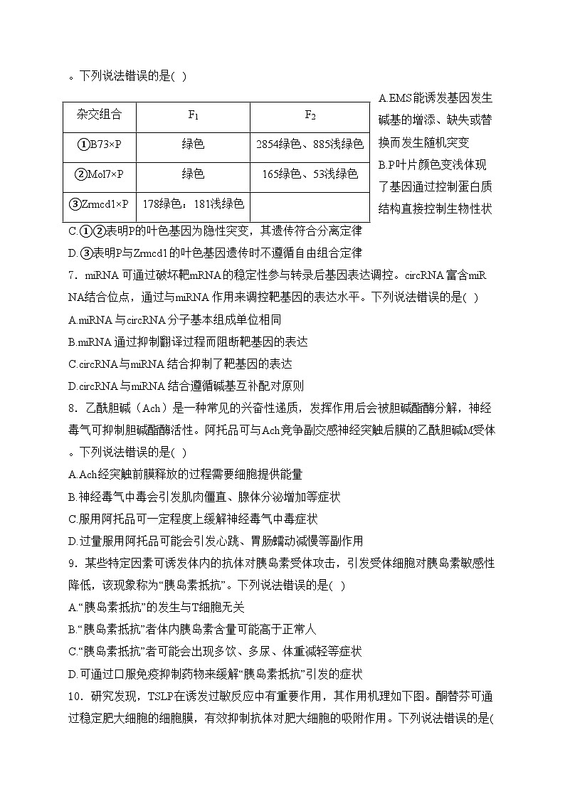 山东省潍坊市2023-2024学年高三下学期一模生物试卷(含答案)第3页
