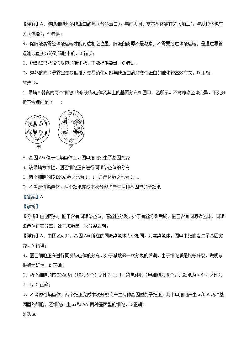 2024届河北省保定市保定名校协作体高三三模生物试题（原卷版+解析版）03