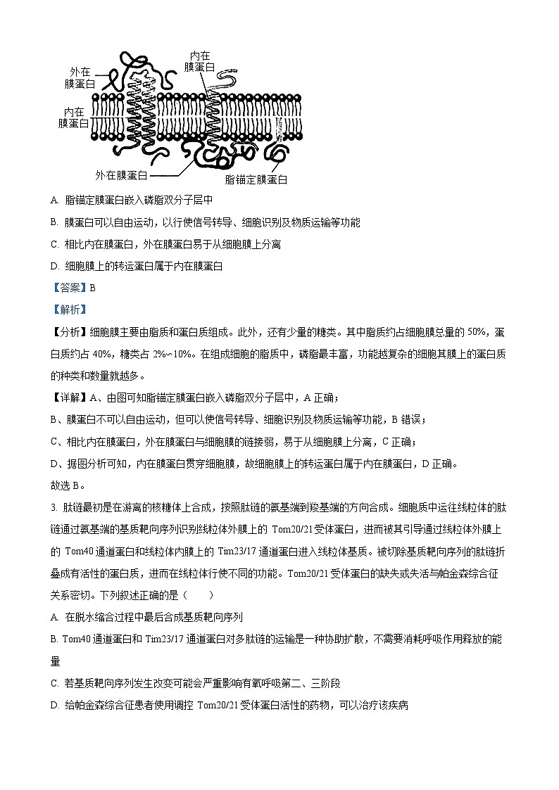 2024届山东省济南市高三下学期5月高考针对性训练生物试题（解析版）第2页