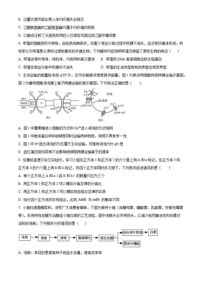 2024届浙考生物研学馆高三选考科目模拟考试生物试题试卷（原卷版+解析版）02