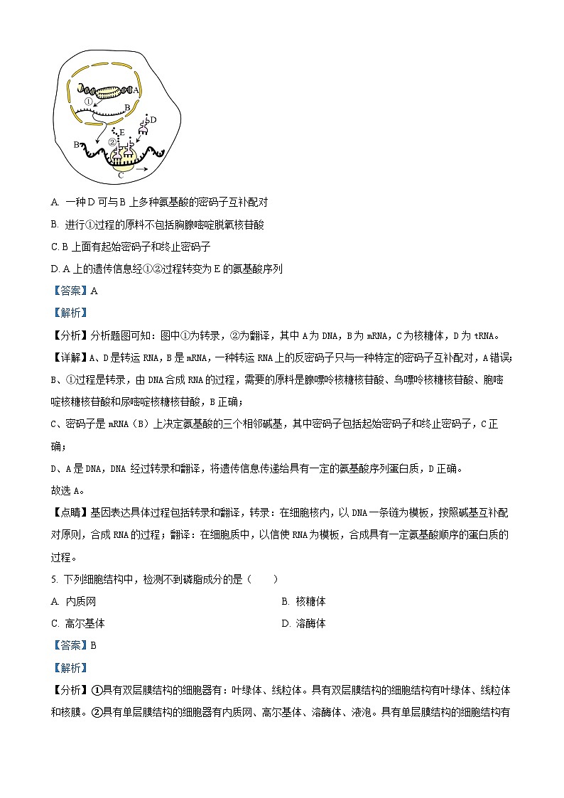 2024届重庆市乌江新高考协作体高三模拟预测生物试题（解析版）第3页