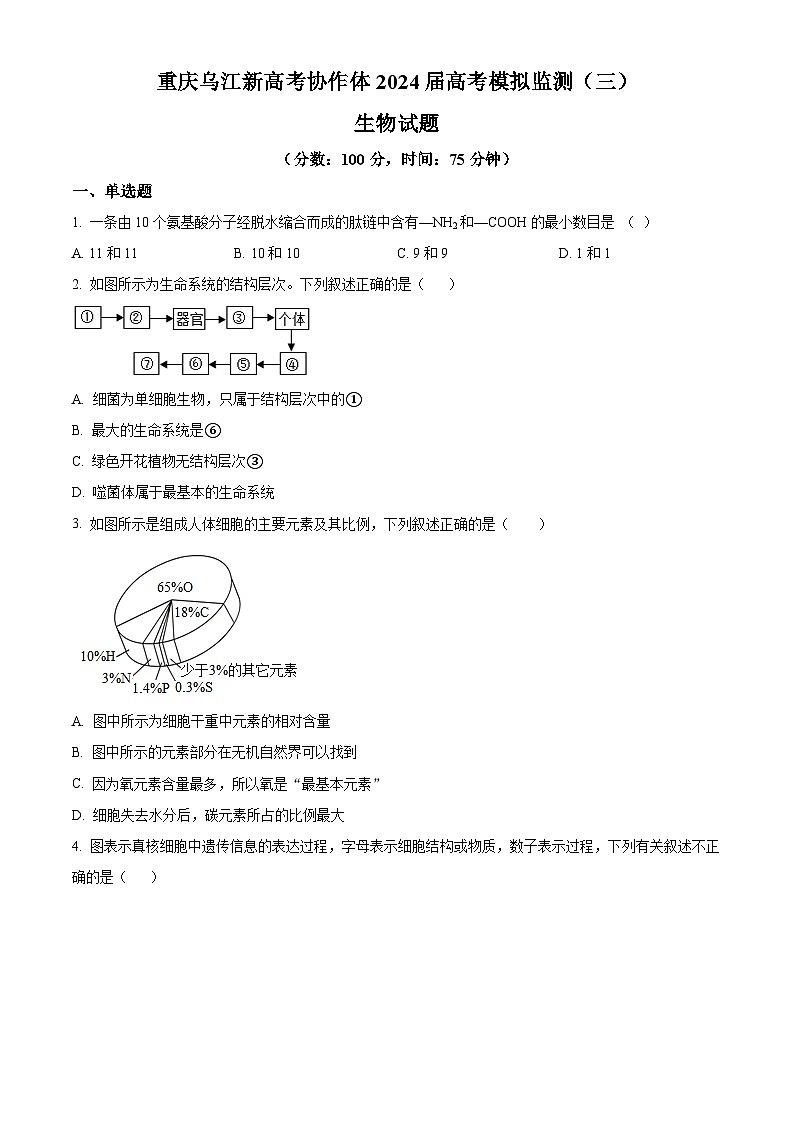 2024届重庆市乌江新高考协作体高三模拟预测生物试题（原卷版）第1页