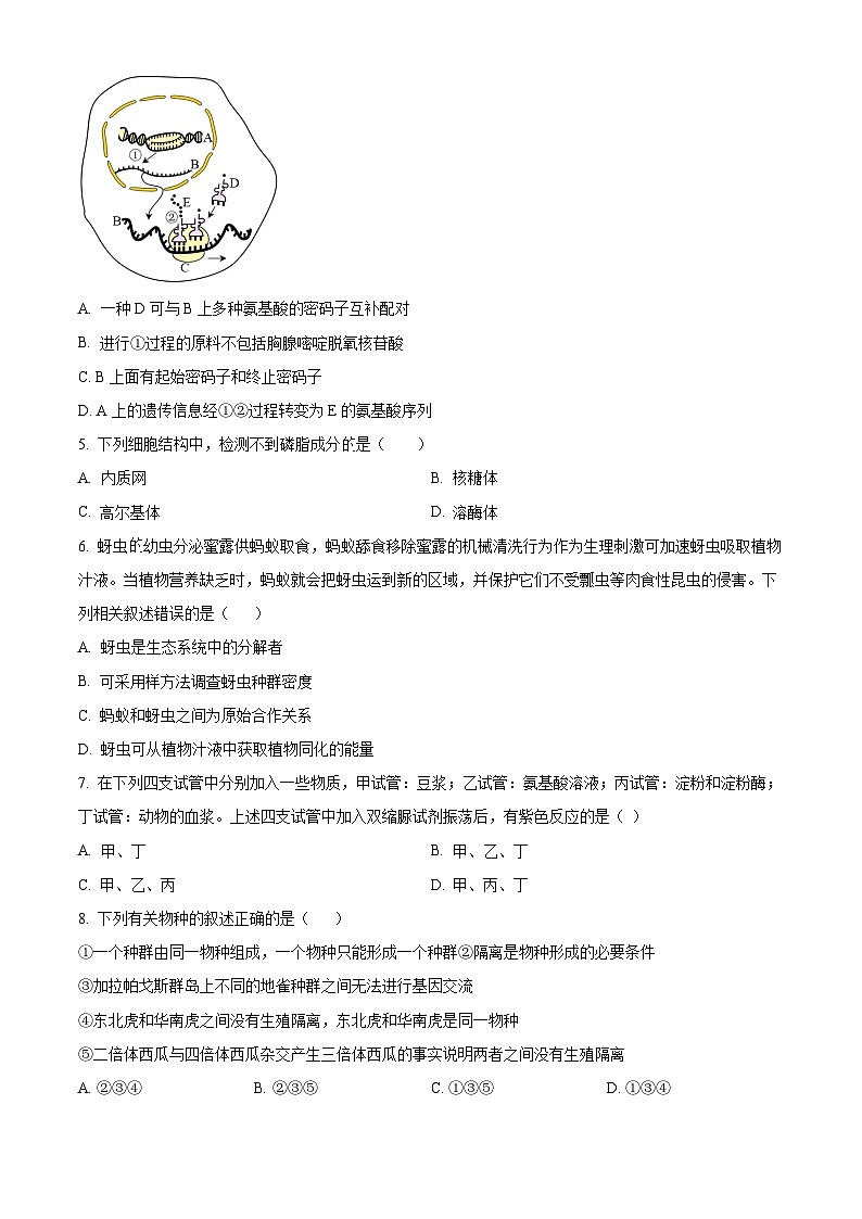 2024届重庆市乌江新高考协作体高三模拟预测生物试题（原卷版）第2页