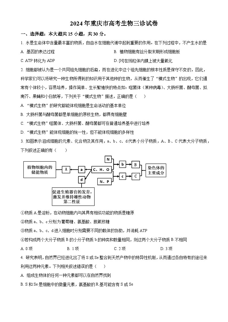 2024年重庆市高考生物三诊生物试题（原卷版）第1页