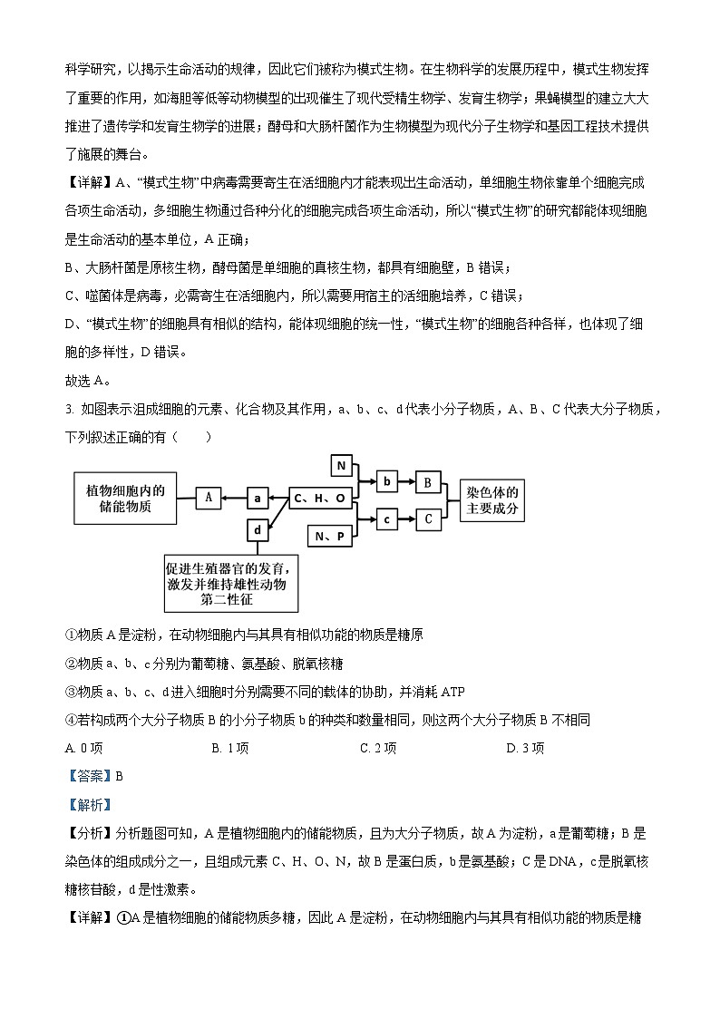 2024年重庆市高考生物三诊生物试题（解析版）第2页