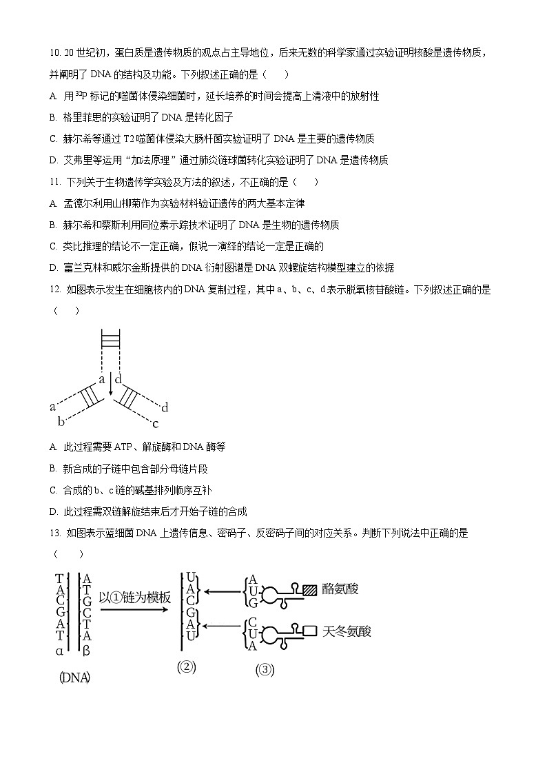 吉林省长春市朝阳区吉林省实验中学2023-2024学年高一下学期5月期中生物试题（原卷版+解析版）03