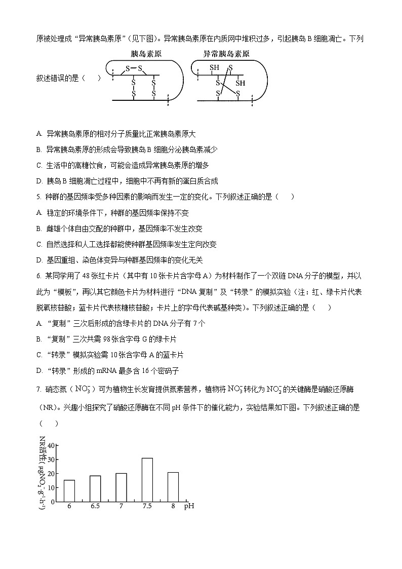 辽宁省大连市第三中学2023-2024高三下学期一模生物试题（原卷版+解析版）02