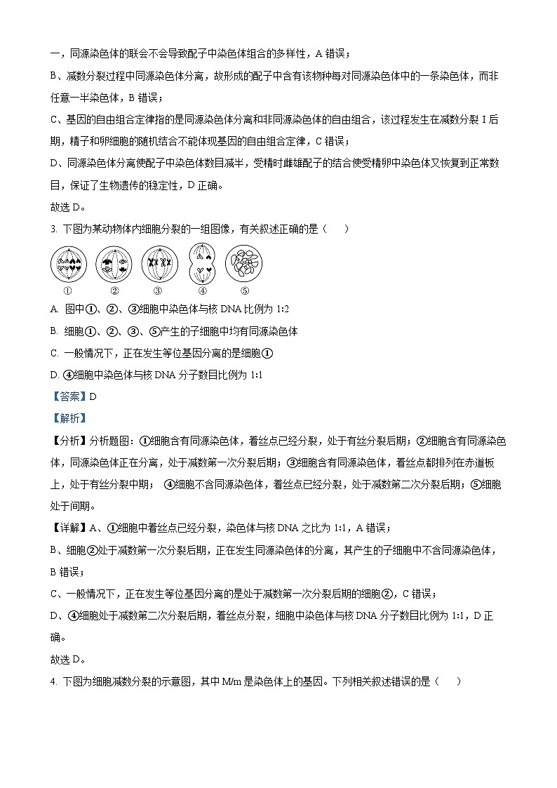 云南省红河州建水实验中学2022-2023学年高一下学期4月考试生物试题（原卷版+解析版）02