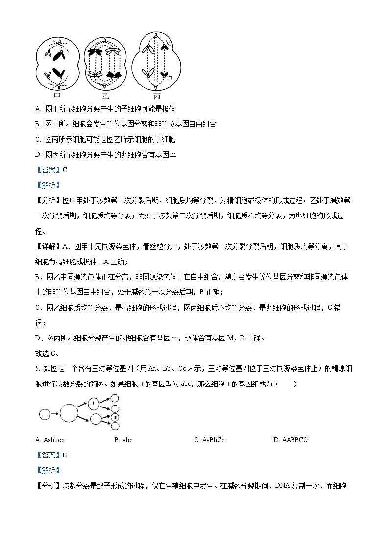 云南省红河州建水实验中学2022-2023学年高一下学期4月考试生物试题（原卷版+解析版）03