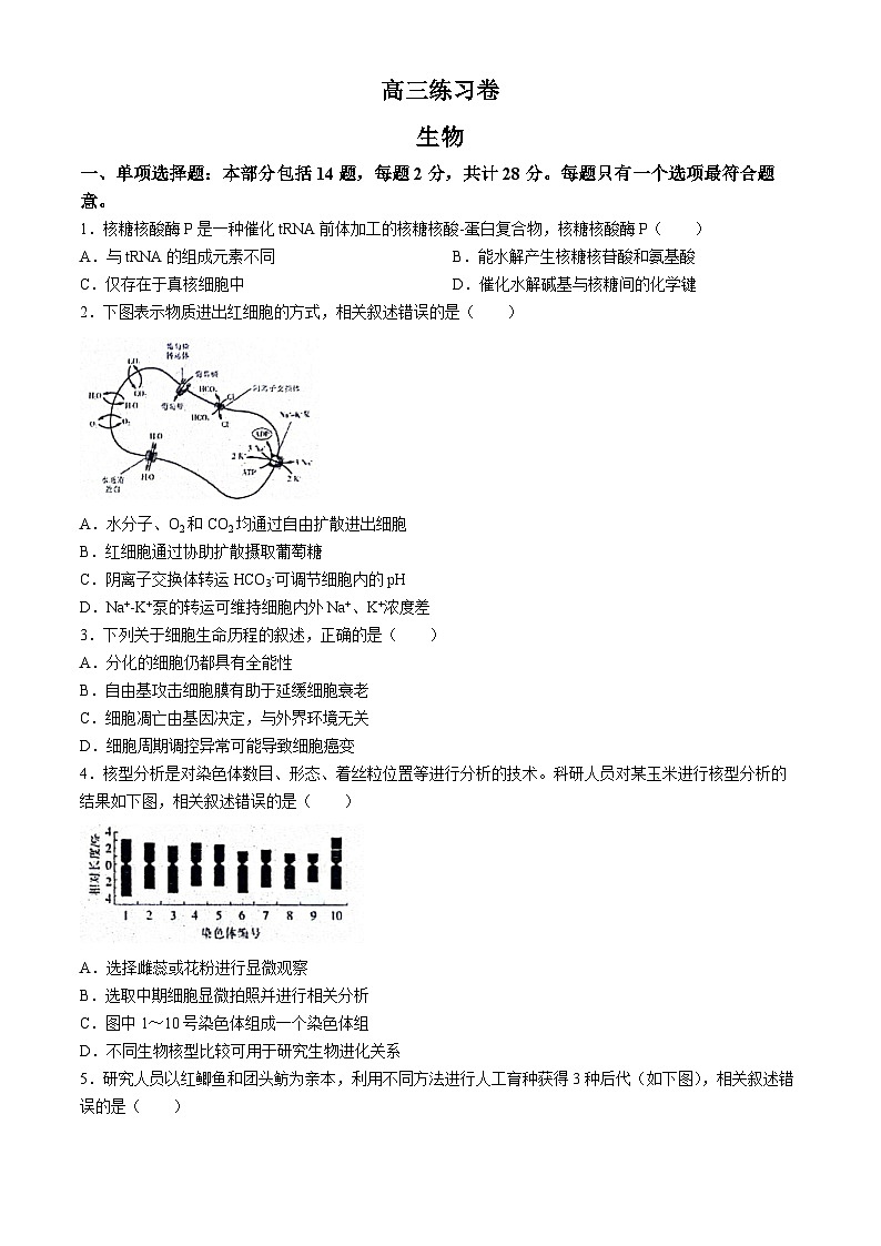 2024届江苏省南通市模拟预测生物试题第1页