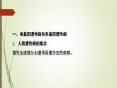 2023-2024学年 必修2 苏教版 关注人类遗传病  课件