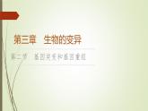 2023-2024学年 必修2 苏教版 基因突变和基因重组  课件
