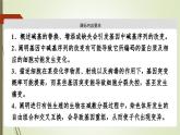 2023-2024学年 必修2 苏教版 基因突变和基因重组  课件