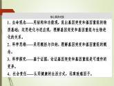 2023-2024学年 必修2 苏教版 基因突变和基因重组  课件