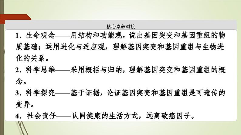 2023-2024学年 必修2 苏教版 基因突变和基因重组  课件第3页