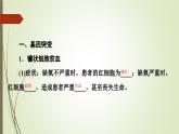 2023-2024学年 必修2 苏教版 基因突变和基因重组  课件