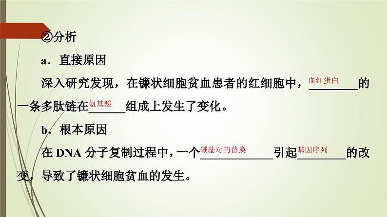 2023-2024学年 必修2 苏教版 基因突变和基因重组  课件第7页